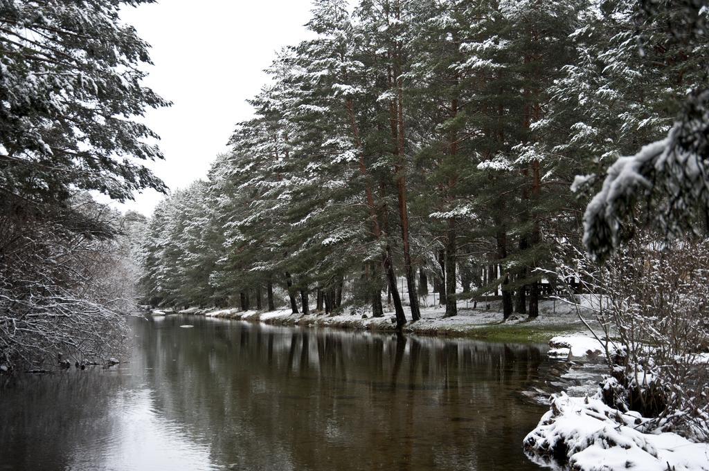 Casa Rural La Vereilla Barajas de Gredos ภายนอก รูปภาพ