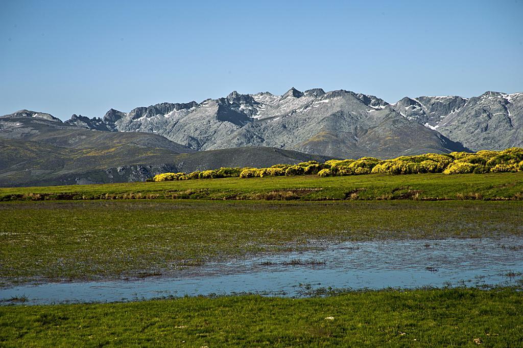 Casa Rural La Vereilla Barajas de Gredos ภายนอก รูปภาพ